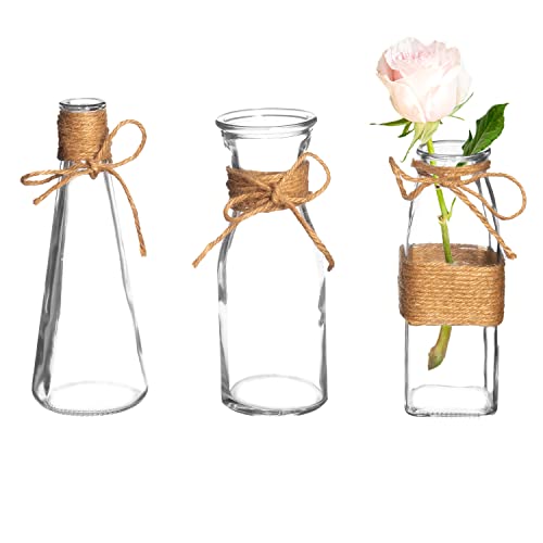 Rustic Farmhouse Glass Bud Vase Set - Premium Quality and Versatile