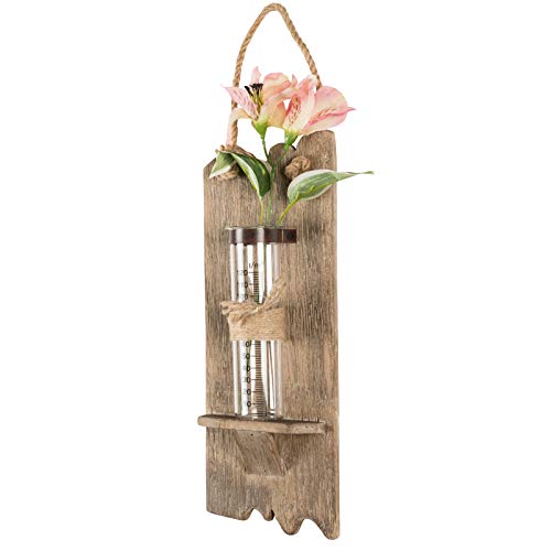 Rustic Wall Hanging Flower Vase