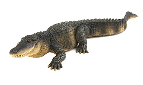 Safari Ltd. | Alligator | Wild Wildlife Collection | Toy Figurines for Boys & Girls