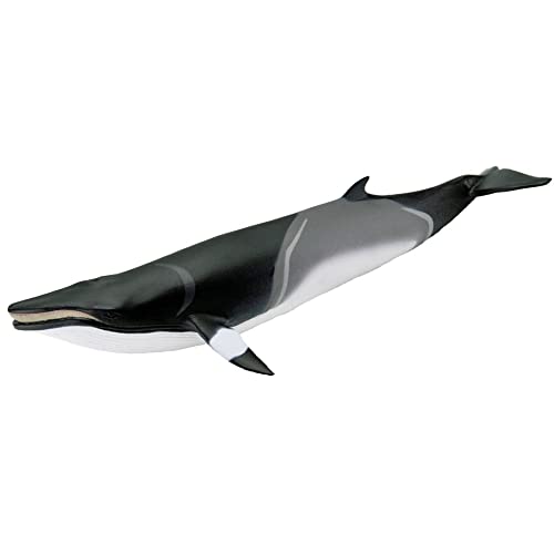 Safari Ltd. Minke Whale Figurine