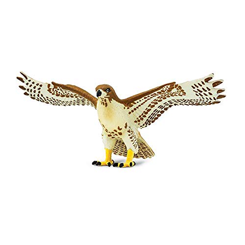 Safari Ltd. Red-Tailed Hawk Figurine | Wings of The World Collection
