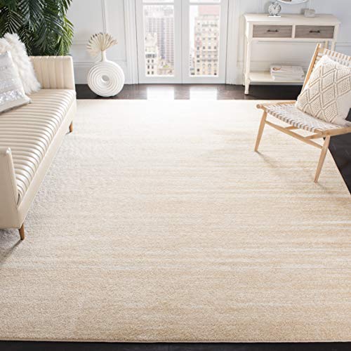 SAFAVIEH Adirondack Collection Area Rug - 6' x 9'