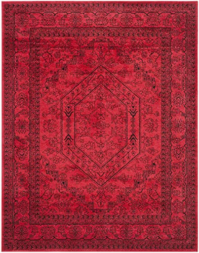 SAFAVIEH Adirondack Collection Area Rug - 8' x 10'