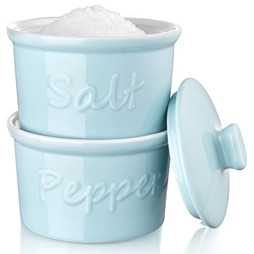 Salt and Pepper Bowls - Ceramic Salt and Pepper Cellar with Lid, Set of 2