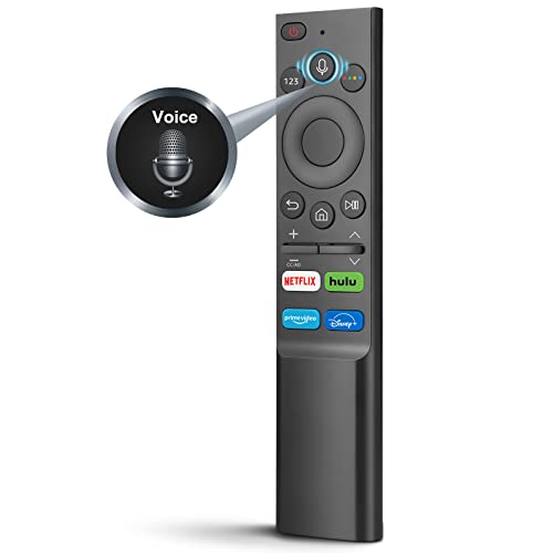 Samsung TV Voice Remote