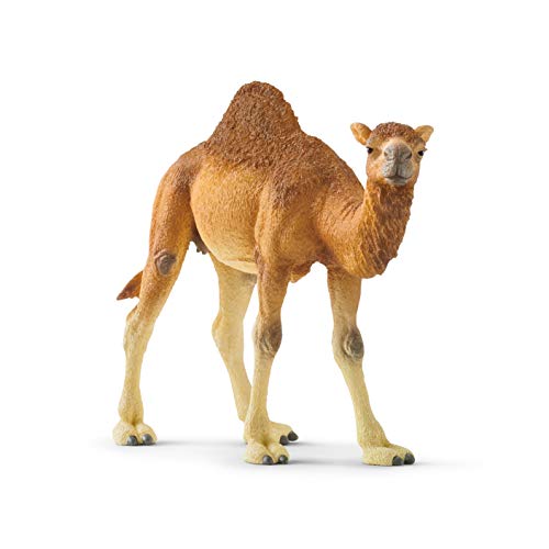 Schleich Wild Life, Realistic Wild Animal Toys for Boys and Girls, Dromedary Camel Toy Figure, Ages 3+