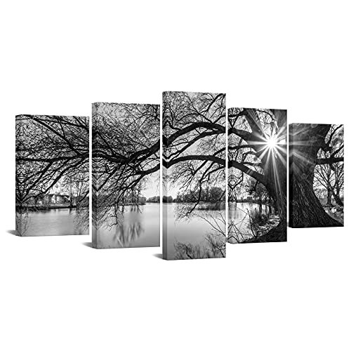 sechars - Old Tree by Lake Canvas Prints
