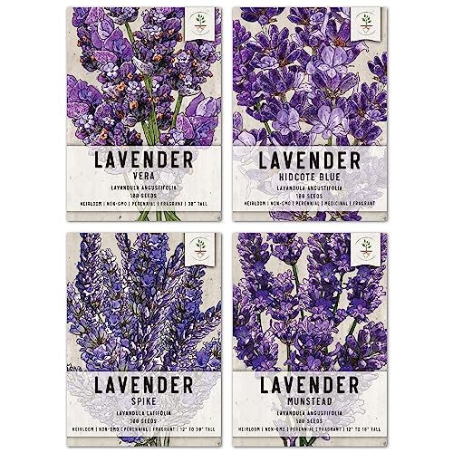 Seed Needs, Lavender Herb Seed Packet Collection
