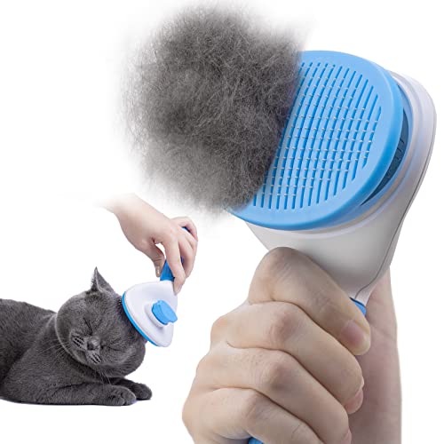 Self-Cleaning Slicker Brush for Dogs & Cats