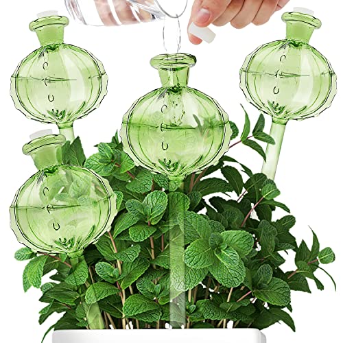Self Watering Plant Globes