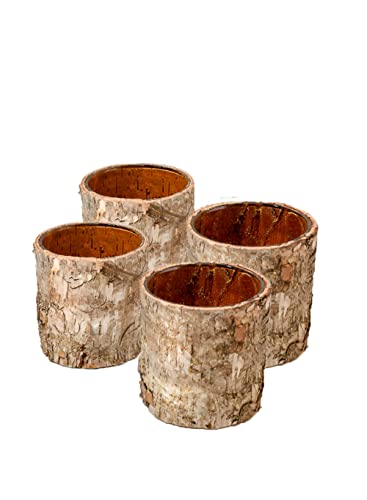 Serene Spaces Living Set of 4 Birch Bark Glass Vases, Rustic Nature Inspired Cylinders