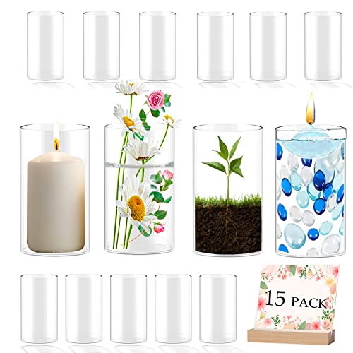 Set of 15 Glass Cylinder Vases
