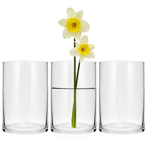 Set of 3 Cylinder Glass Vases for Centerpieces