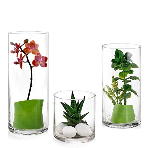 Set of 3 Glass Cylinder Vases