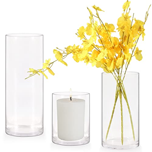 Set of 3 Glass Cylinder Vases,6, 8,10 Inch High Glass Vase for Centerpieces,Clear Multi-use Flower Vase for Home Decor,Candle Holder,Wedding|Party Favors or Floral Arrangements(4" W)