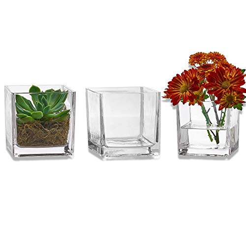 Set of 3 Glass Square Vases 4 x 4 Inch – Clear Cube Shape Flower Vase, Candle Holders