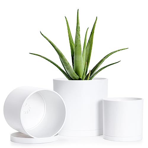 Set of 3 Plastic Planter Pots for Plants with Drainage Hole and Seamless Saucers