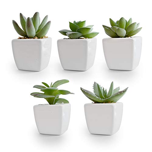 Set of 5 Artificial Succulent Plants in Ceramic Pots