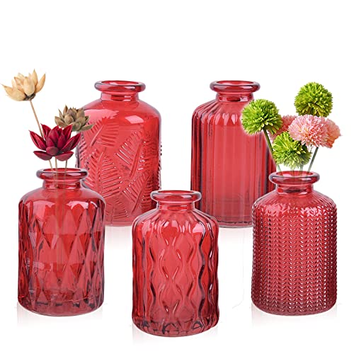Set of 5 Glass Small Bud Vase