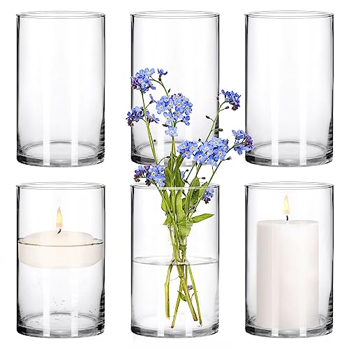 Set of 6 Glass Cylinder Vases for Centerpieces