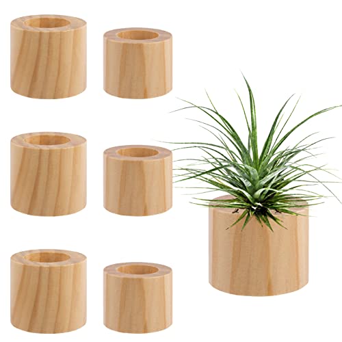 Set of 6 Wood Air Plant Holder