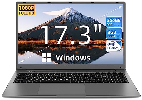 SGIN 17 Inch Laptop - Powerful and Affordable
