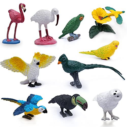 SIENON 10Pcs Mini Birds Figures
