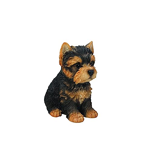 Sitting Yorkshire Terrier Puppy