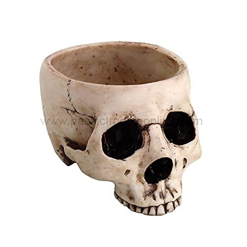 Skeleton Skull Kitchen Bowl Figurine