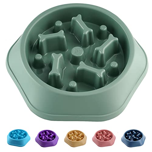 Slow Feeder Dog Bowl for Healthy Eating