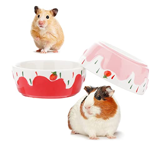 Small Animals Ceramic Bowl - Anti-Turning Food Water Bowl for Small Pets