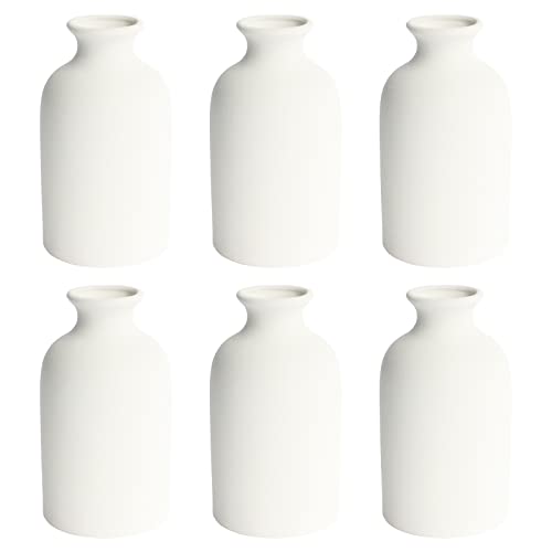 Small Ceramic Vases for Decor