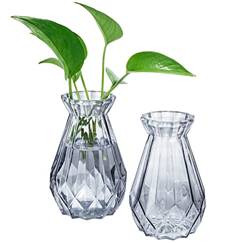 Small Clear Gray Glass Decorative Vase