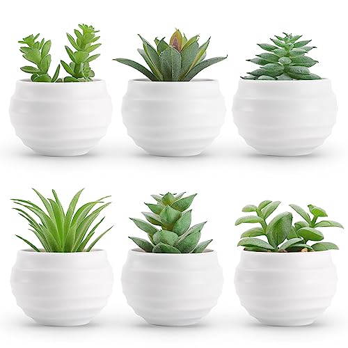 Small Fake Plants for Home Decor