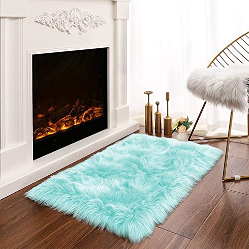 Small Fluffy Teal Rug for Bedroom