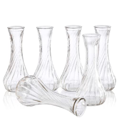 Small Glass Vase Set