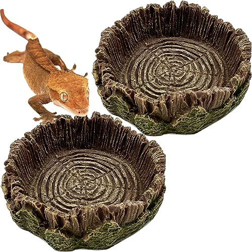 Small Reptile Bowl Water Dish