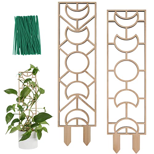 Small Wooden Trellis for Potted Plants
