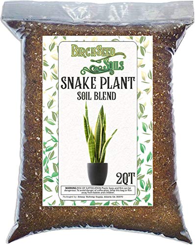 Snake Plant Soil Mix