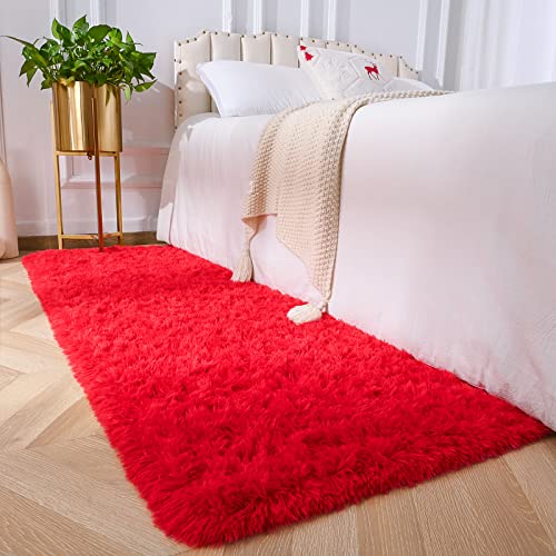 Soft and Fuzzy Shaggy Rug for Bedroom and Living Room