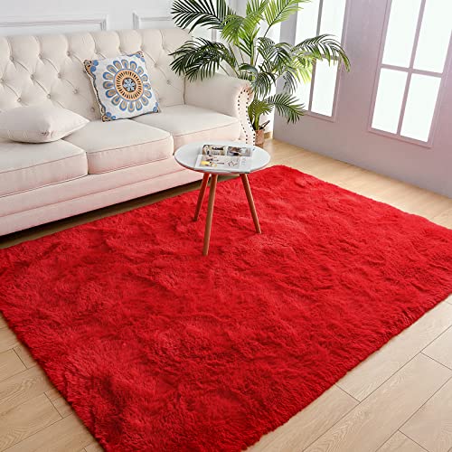 Red Fluffy Area Rug for Home Decor