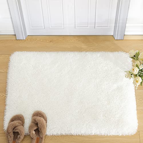 Soft Plush Fluffy Area Rug for Home Decor