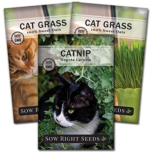 Sow Right Seeds - Catnip and Cat Grass Seed Collection