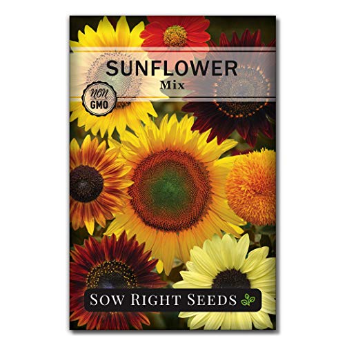 Sow Right Seeds - Mixed Sunflower Seed Packet