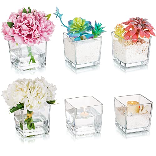 Square Glass Vases Set of 6 - Elegant and Practical Floral Decor