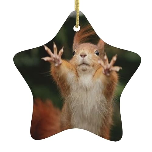 Squirrel Funny Animal Christmas Ornament