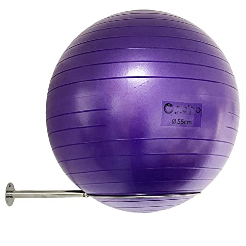 Stainless Steel Exercise Ball Holder