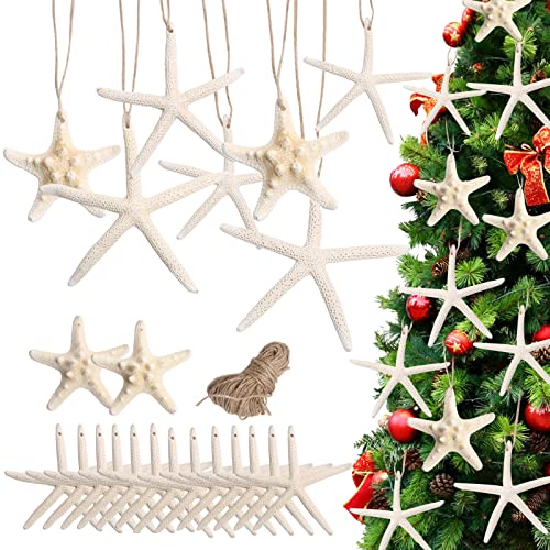 Starfish Tree Ornaments