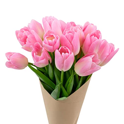Stargazer Barn Pretty in Pink Tulips Fresh Flowers Bouquet - Overnight Prime Delivery