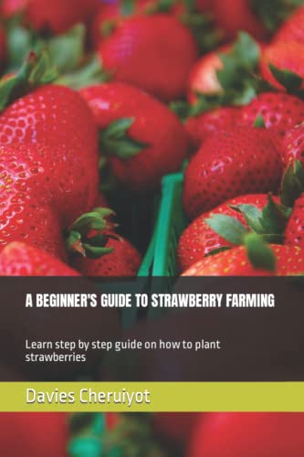 Strawberry Farming Made Easy